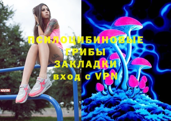 прущий лед Алексеевка
