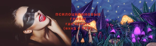 прущий лед Алексеевка