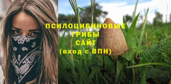 прущий лед Алексеевка