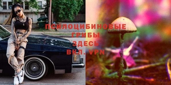 PSILOCYBIN Абдулино